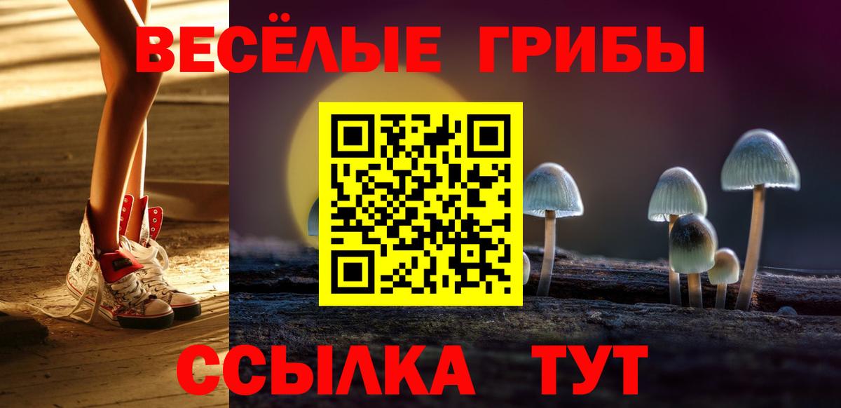 закладки  Вход с VPN  Новороссийск  Псилоцибиновые грибы GOLDEN TEACHER  Галлюциногенные грибы мицелий 